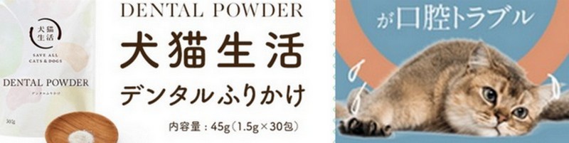 �L�̌��L�E���C�P�A�Ɂw�L�����f���^���ӂ肩���x���T�C�g